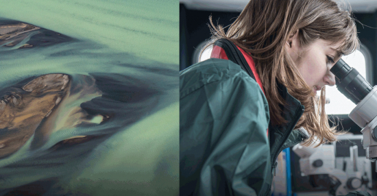 ”Reclaim the future” al via gli Ericsson Innovation Awards 2020